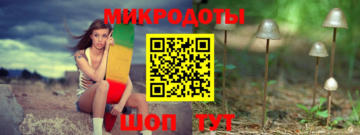Псилоцибиновые грибы GOLDEN TEACHER  купить наркоту  Псилоцибиновые грибы мицелий  Отрадное  Вход с VPN 
